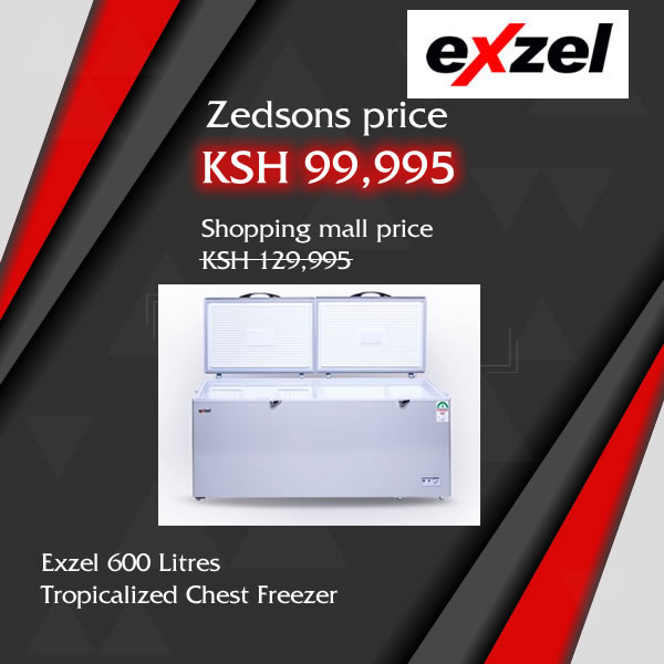 Exzel 561L Chest Freezer: ECF-600